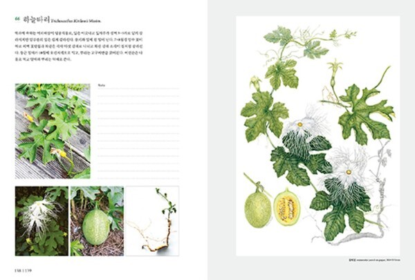 출처: 별책부록