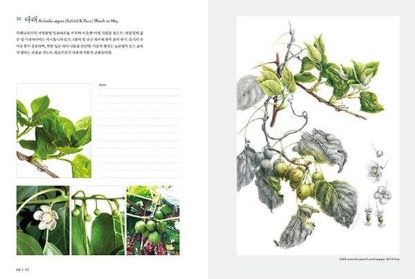 출처: 별책부록