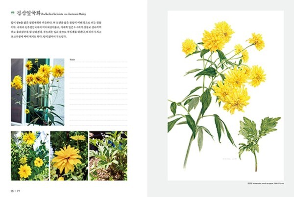 출처: 별책부록