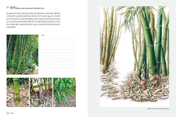 출처: 별책부록