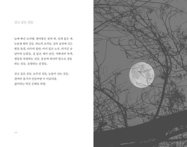 출처: 다시서점