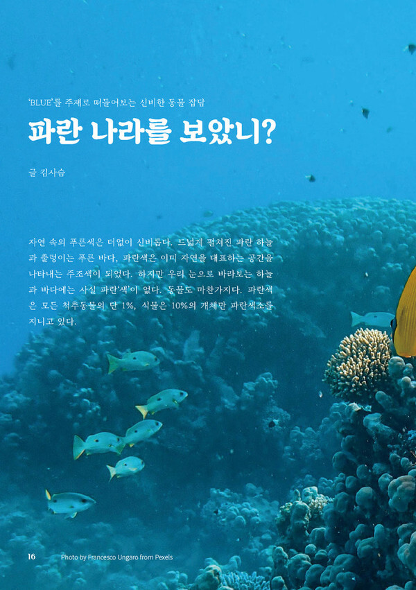 출처: 인디펍
