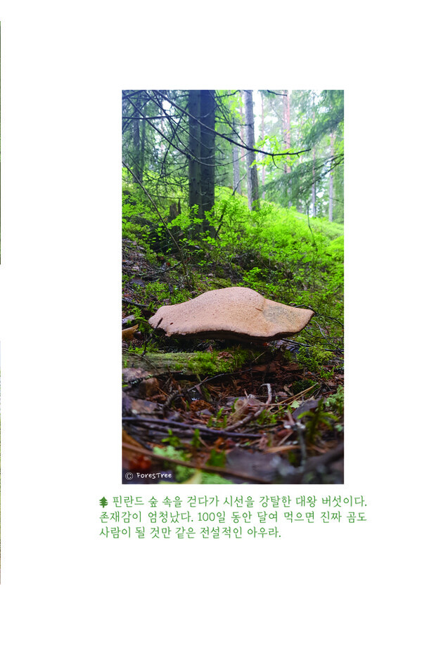 출처: 인디펍