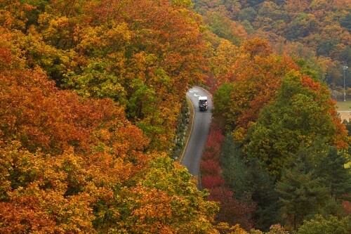 [사진 제공 = 오크크릭]
