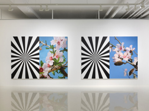 사진: Exstacy Almond Blossom Series (L), 214×304㎝ [제공 = 엘리제레갤러리]