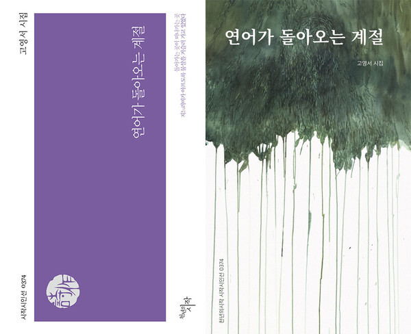 [사진 제공 = 파종모종]