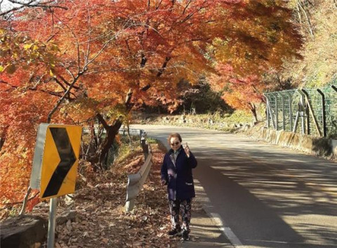 지난해 초록여행을 통해 가을 여행을 즐기고 있는 고객 [사진 제공 = 기아 초록여행]