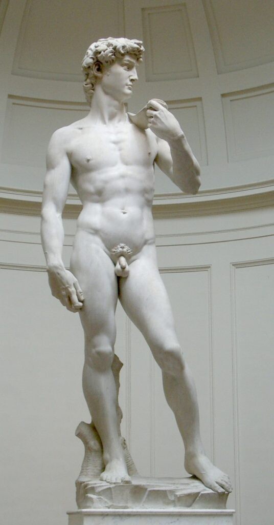 Michelangelo Buonarroti, David, 1501-4, Galleria dell’Accademia, Florence, Italy. Phi Requiem/Flickr.
