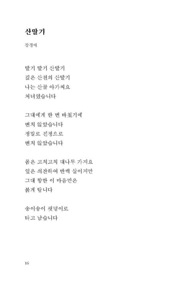 [사진 제공 = 텍스트칼로리]