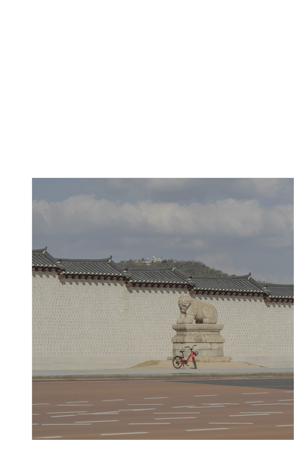 [사진 제공 = 장인주]